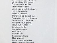 laaraj_mohamed_livre_01-6.jpg