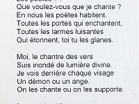 laaraj_mohamed_livre_01-16.jpg