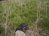 img_2976re.jpg