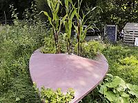 img_3126re.jpg