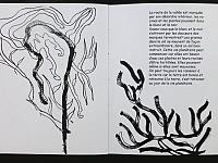 la_danse_de_la_vie_06.jpg