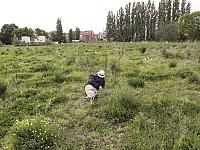 img_2940re.jpg