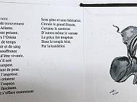 de_kerckhoven_cathy_-3_bis_.jpg
