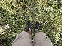 img_3205re.jpg