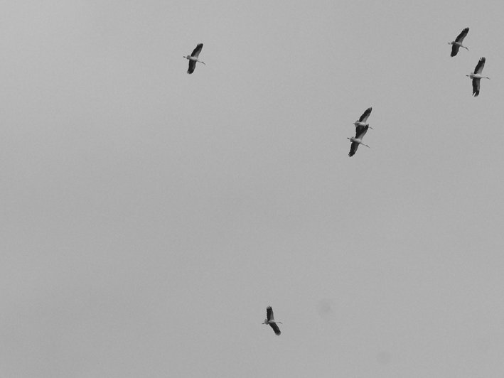 dsc04894re.jpg