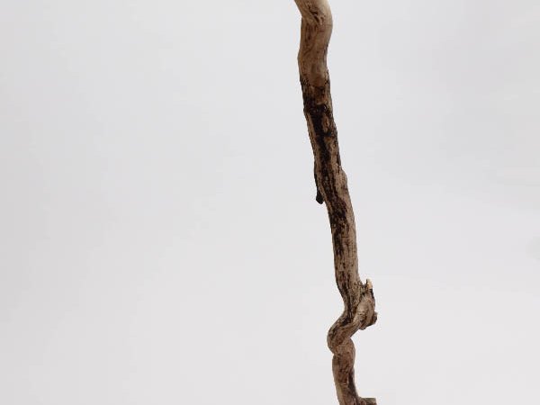 mohammed_sculpture_01.jpg